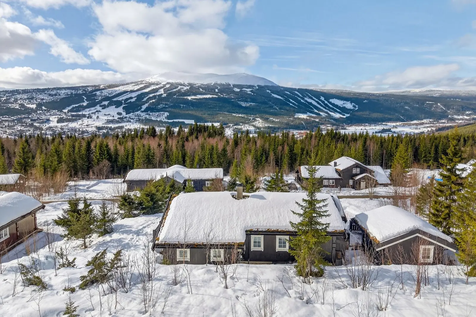 Velkommen til Bjønnåsen Hyttegrend 15 - en innbydende fritidsbolig med flott beliggenhet i Trysil!