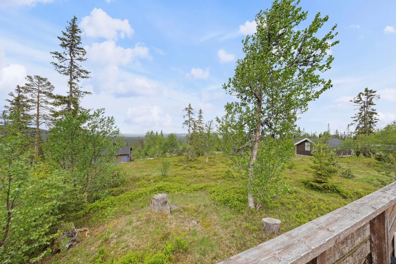 Her bor du med umiddelbar nærhet til flott skogs- og fjellnatur, og med gode muligheter for friluftsliv gjennom hele året.
