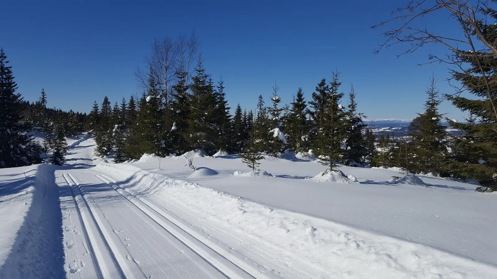 Ved Svea sportshytte kan du ta en pust i bakken under skiturer vinterstid. Et fantastisk flott løypenett, med brede, oppkjørte løyper er en 