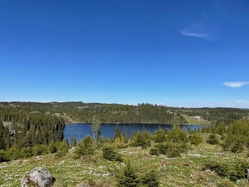 Nydelig utsikt fra fritidstomt beliggende øverst ved populære Lensmansvika, selve indrefileten i Nordmarka.