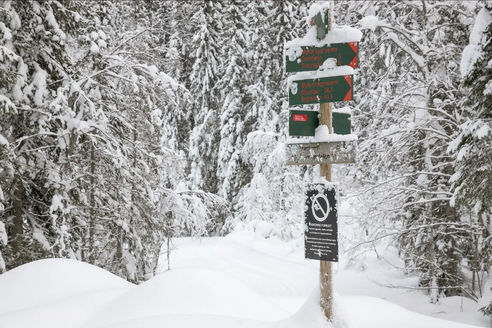Nordmarka Nord er et meget snøsikkert område og byr på et stort utvalg maskin- og scooterpreparerte løyper i et variert terreng.