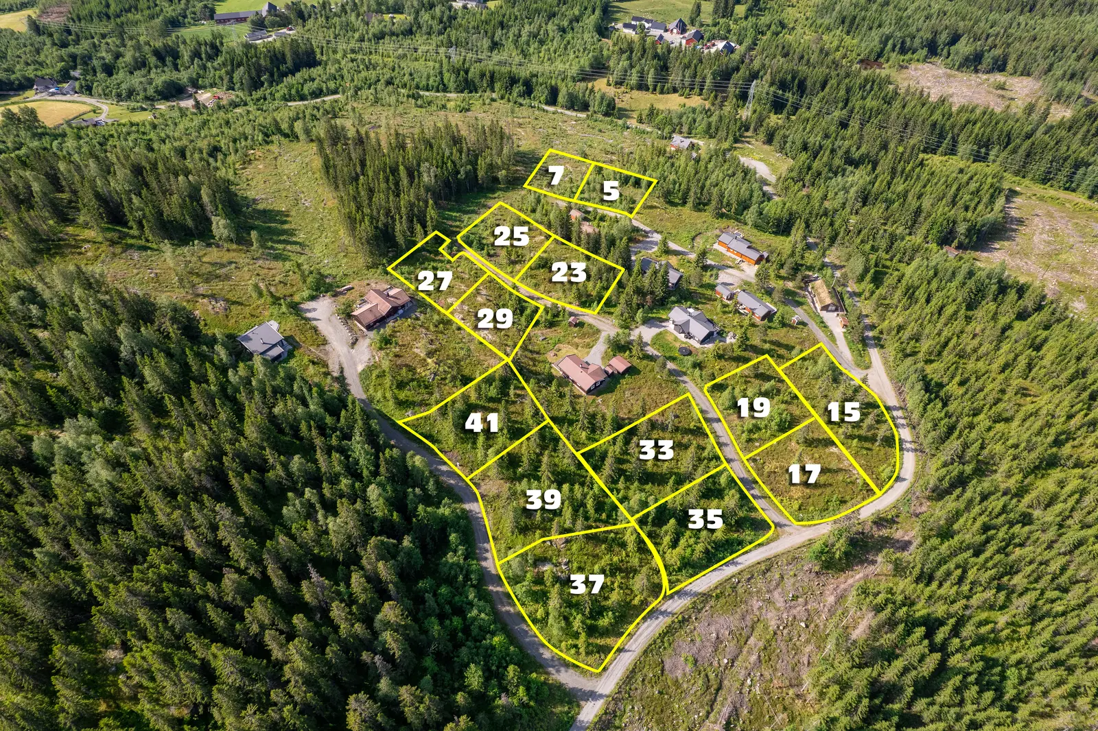 Velkommen til Ospekollen!