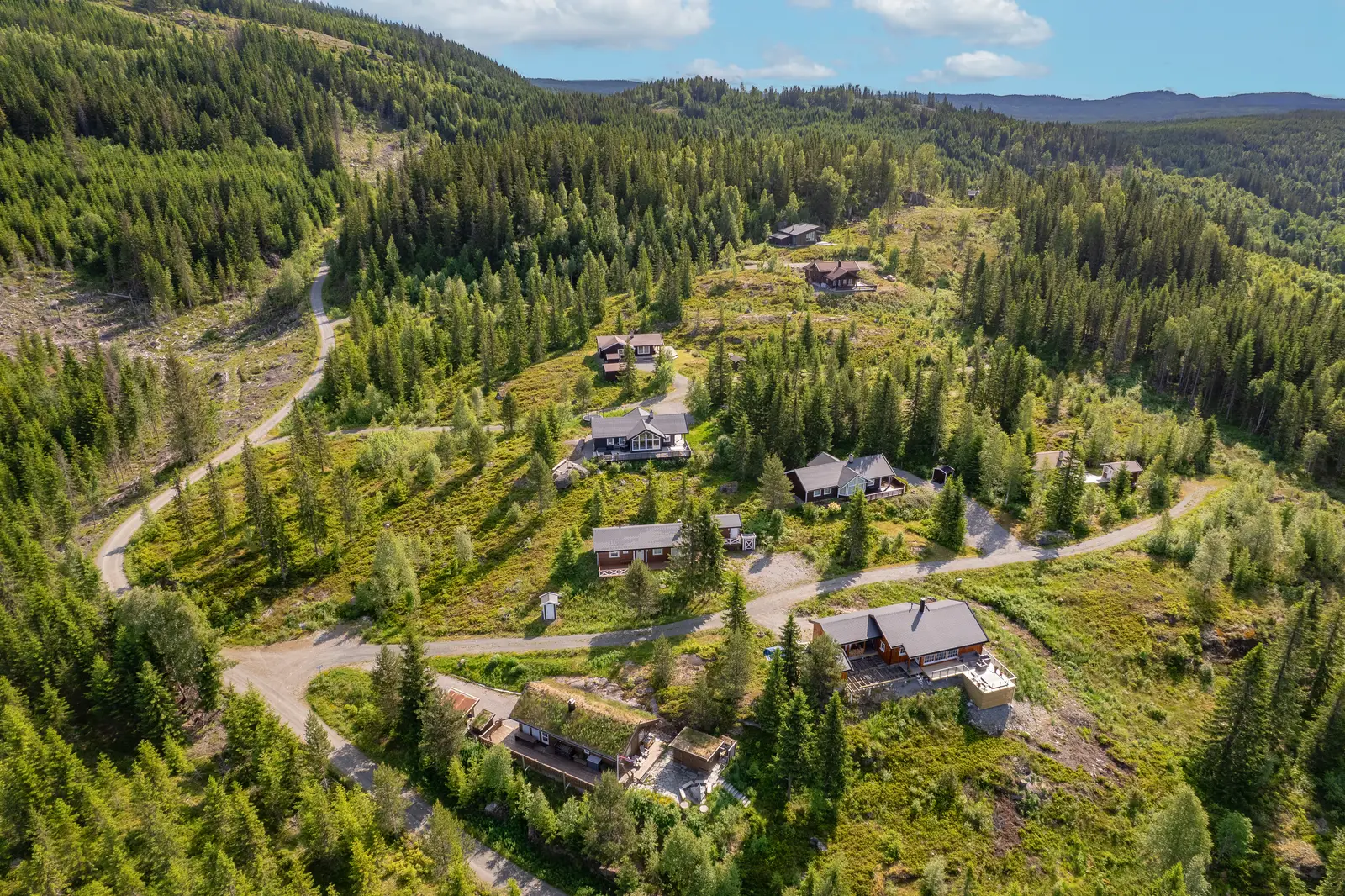 Flott utsyn mot mot Bjørnåsen, Rognlia og Totenåsen.