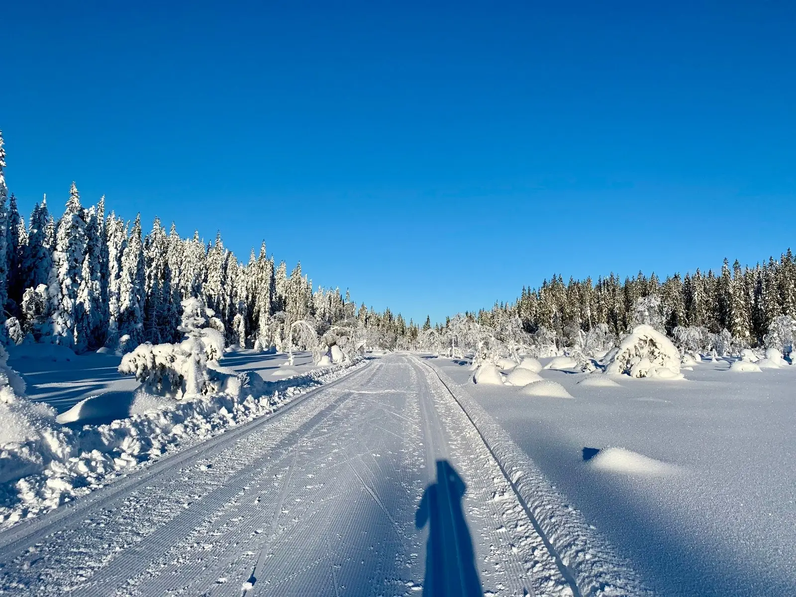 Mylla løypefoering er kjent for å kjøre gode maskinskjørte løyper. Bilde fra selger.